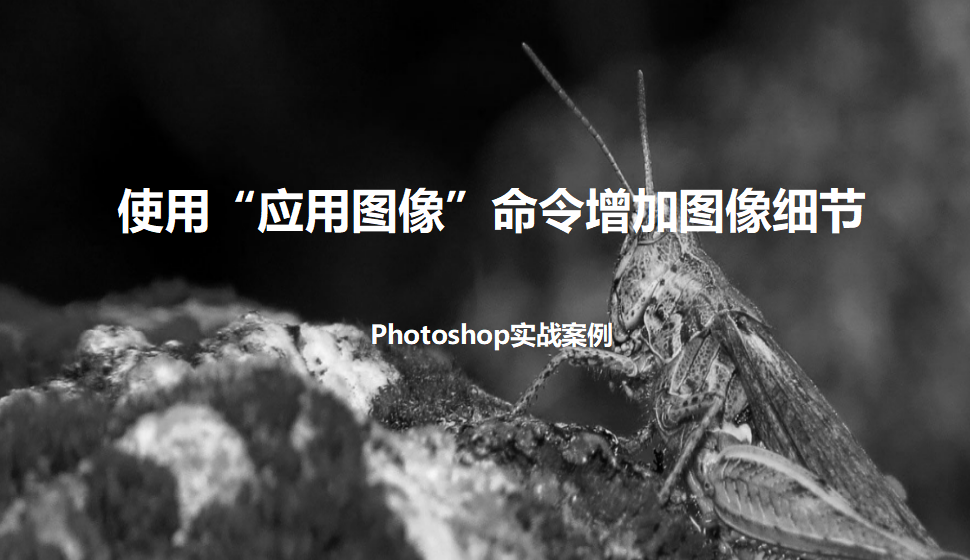 photoshop 使用“應(yīng)用圖像”命令增加圖像細(xì)節(jié)