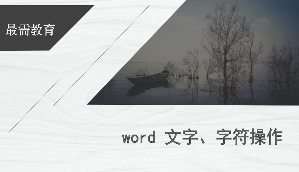 word 文字、字符操作