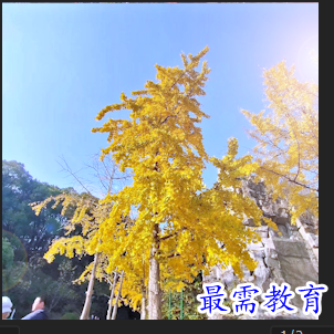 實戰(zhàn)8.PNG